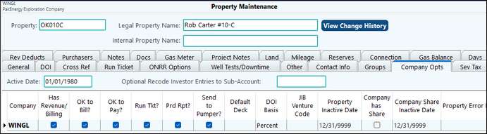 Company options tab