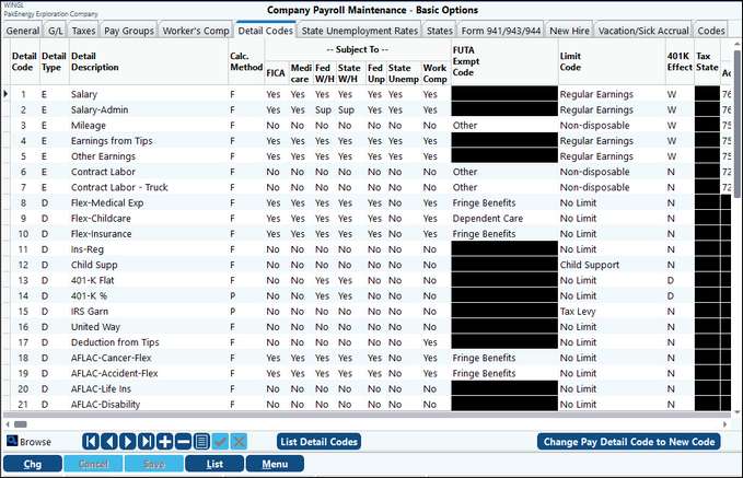 Payroll detail codes tab