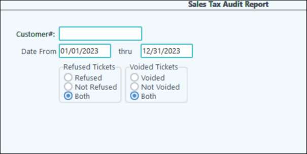 Sales Tax Audit Report